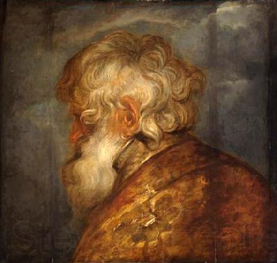 Anthony Van Dyck Studienkopf eines alten Mannes Spain oil painting art